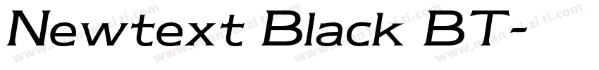 Newtext Black BT字体转换